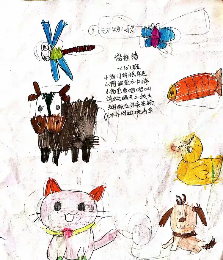 动物儿歌——定南二小一(10)班星辰中队